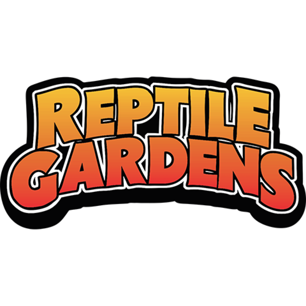 reptile-1024x1024.png